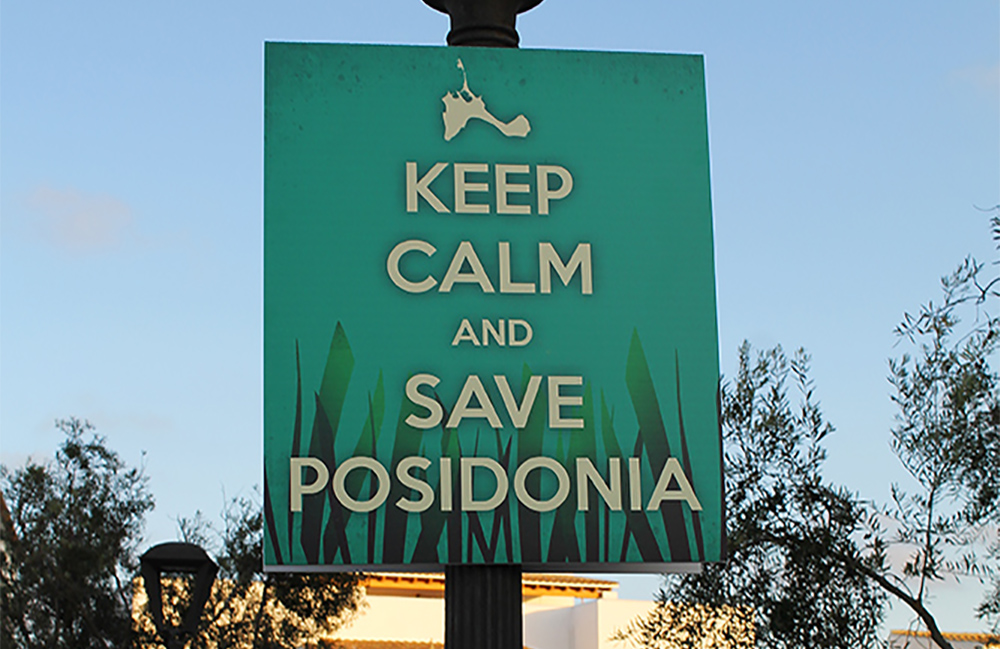 SAVE POSIDONIA: Heldigvis jobbes det med mer bærekraftig turisme, og verningen av posidonia er begynt. Foto: Tenk Koffert