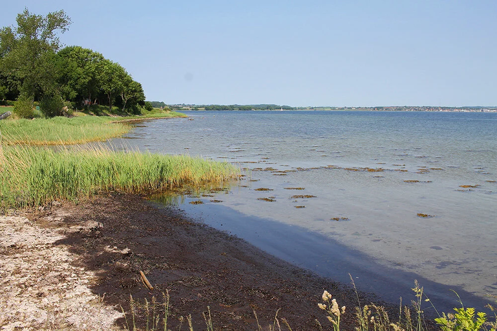 Bjørnø på Fyn – idyllisk øyferie i Danmark — Tenk Koffert