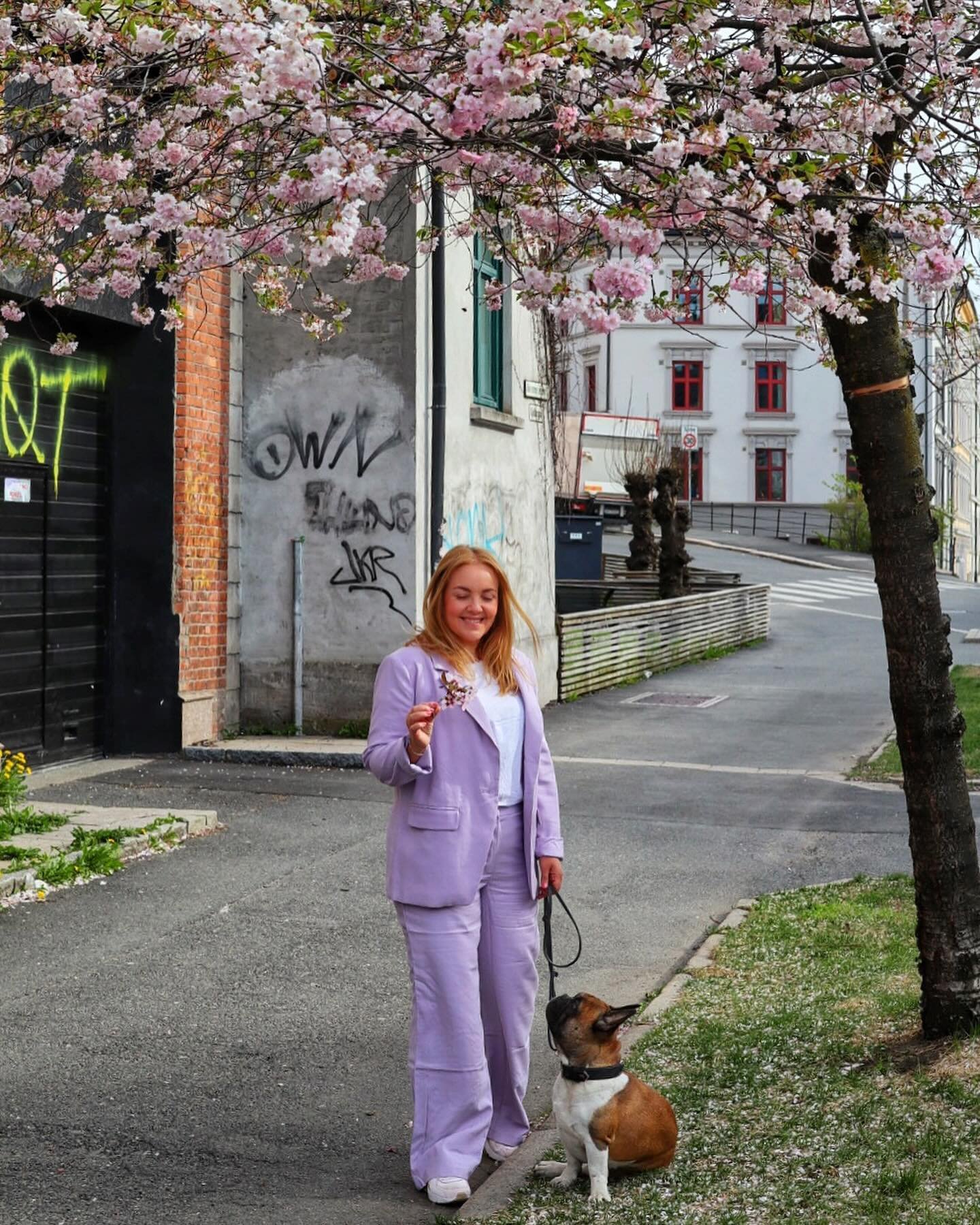 I byer rundt om i verden kan du hver v&aring;r oppleve &laquo;hanami&raquo;. 🌸 Ordet er japansk og betyr &laquo;&aring; se p&aring; blomster&raquo;.

Hanami viser til perioden hvor kirseb&aelig;rtr&aelig;rne blomstrer, og byene males i vakre nyanser