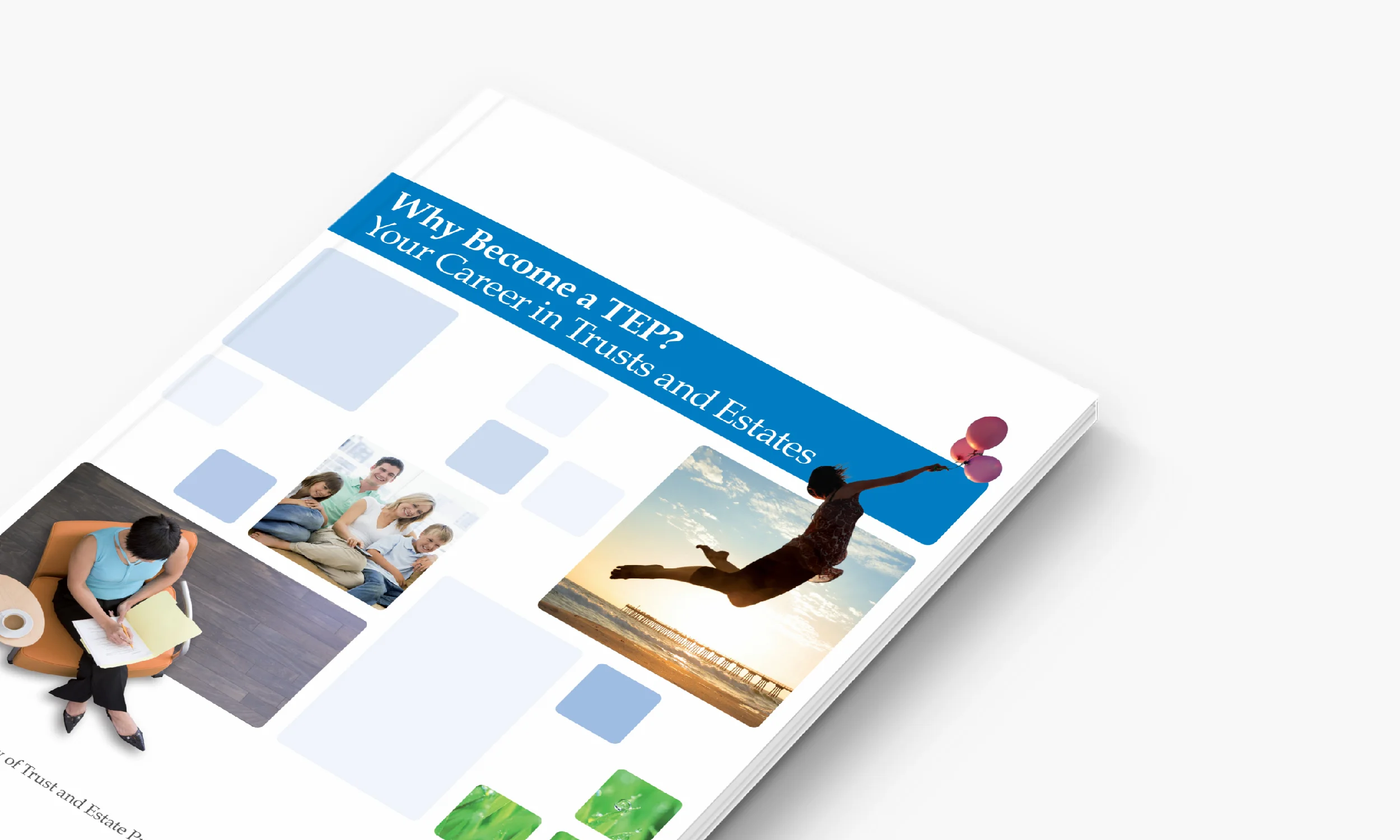 Artboard 3 copy 2.jpg