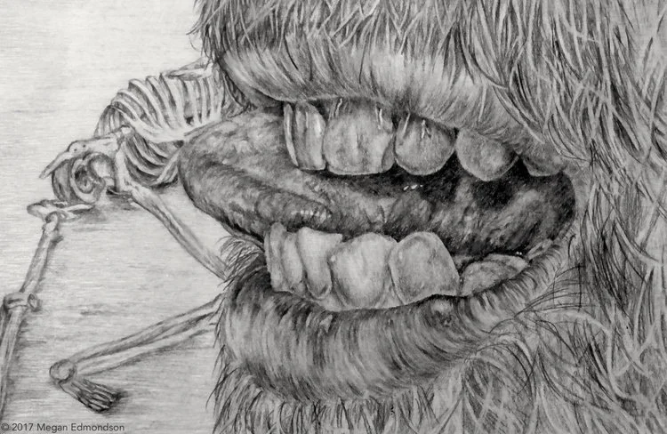 Teeth. Graphite. 7.5x12