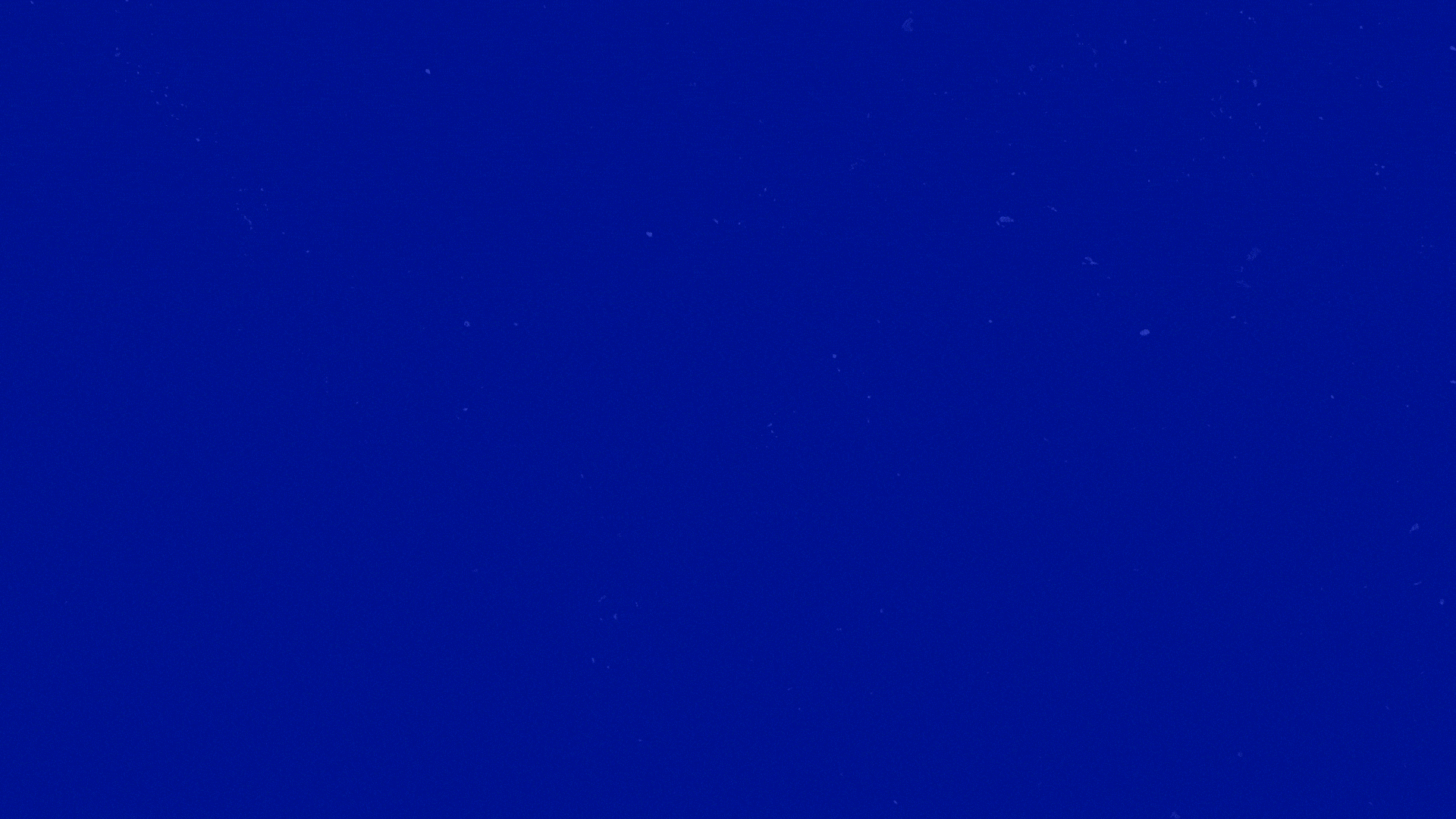 Motion Design (3).gif