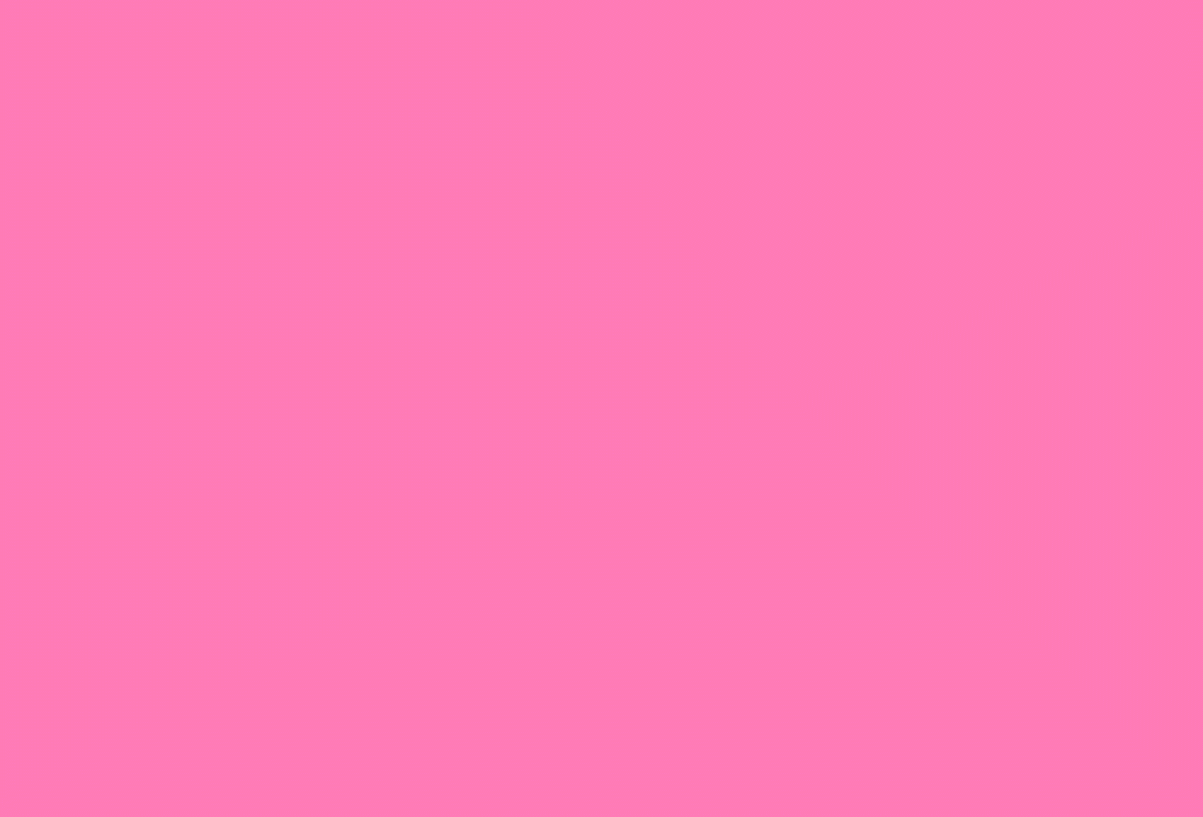 pinkbird_logo_animation_1.gif