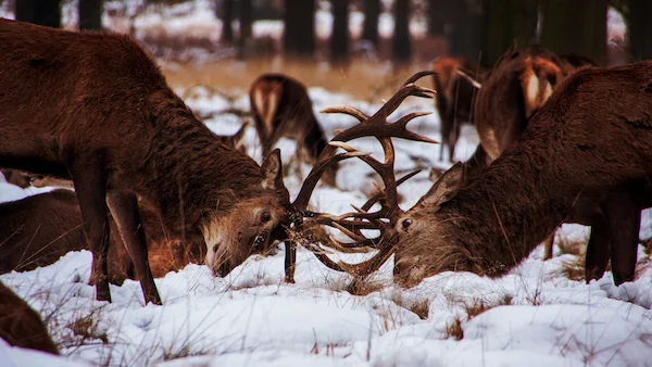 How to deal with difficult people in the workplace