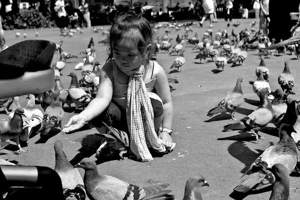 How Giving Freely Creates More Impact Than You Know