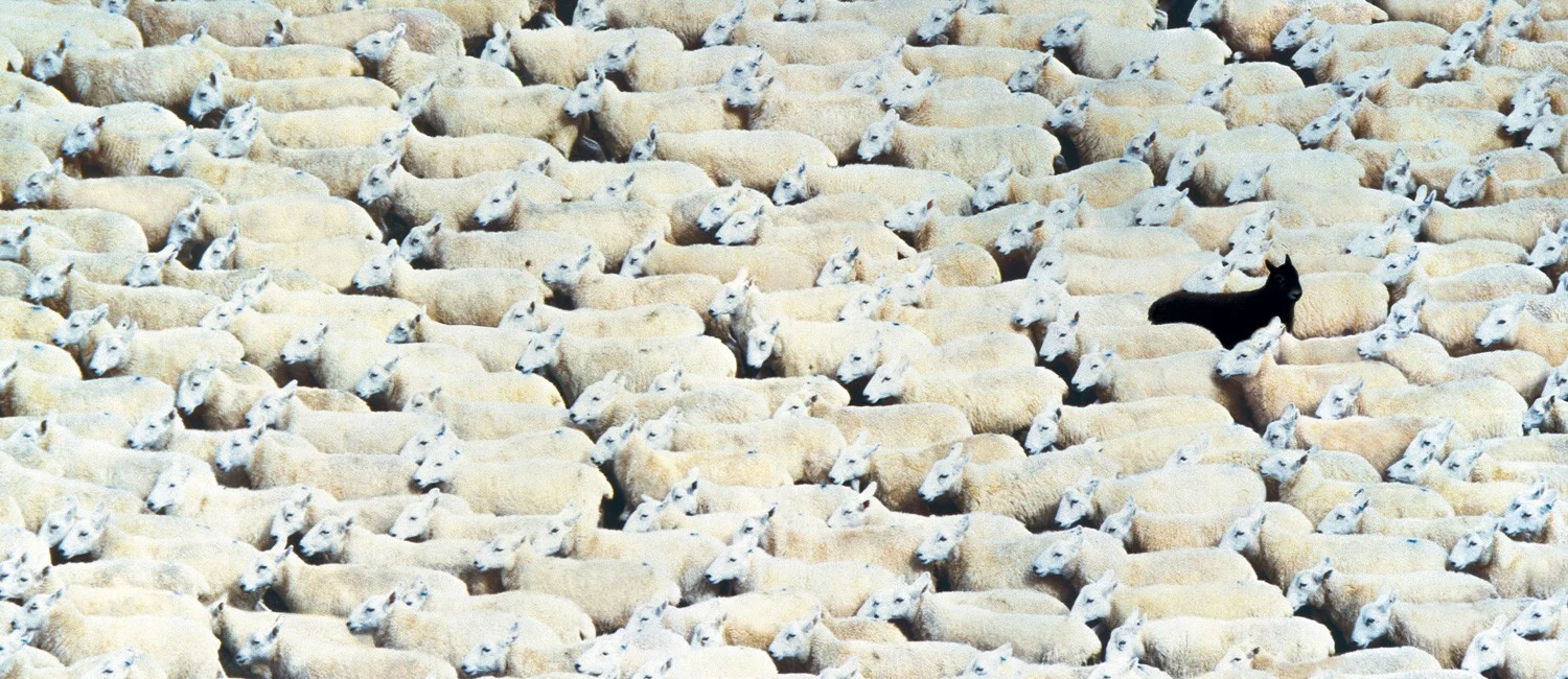 What Do You Stand For?