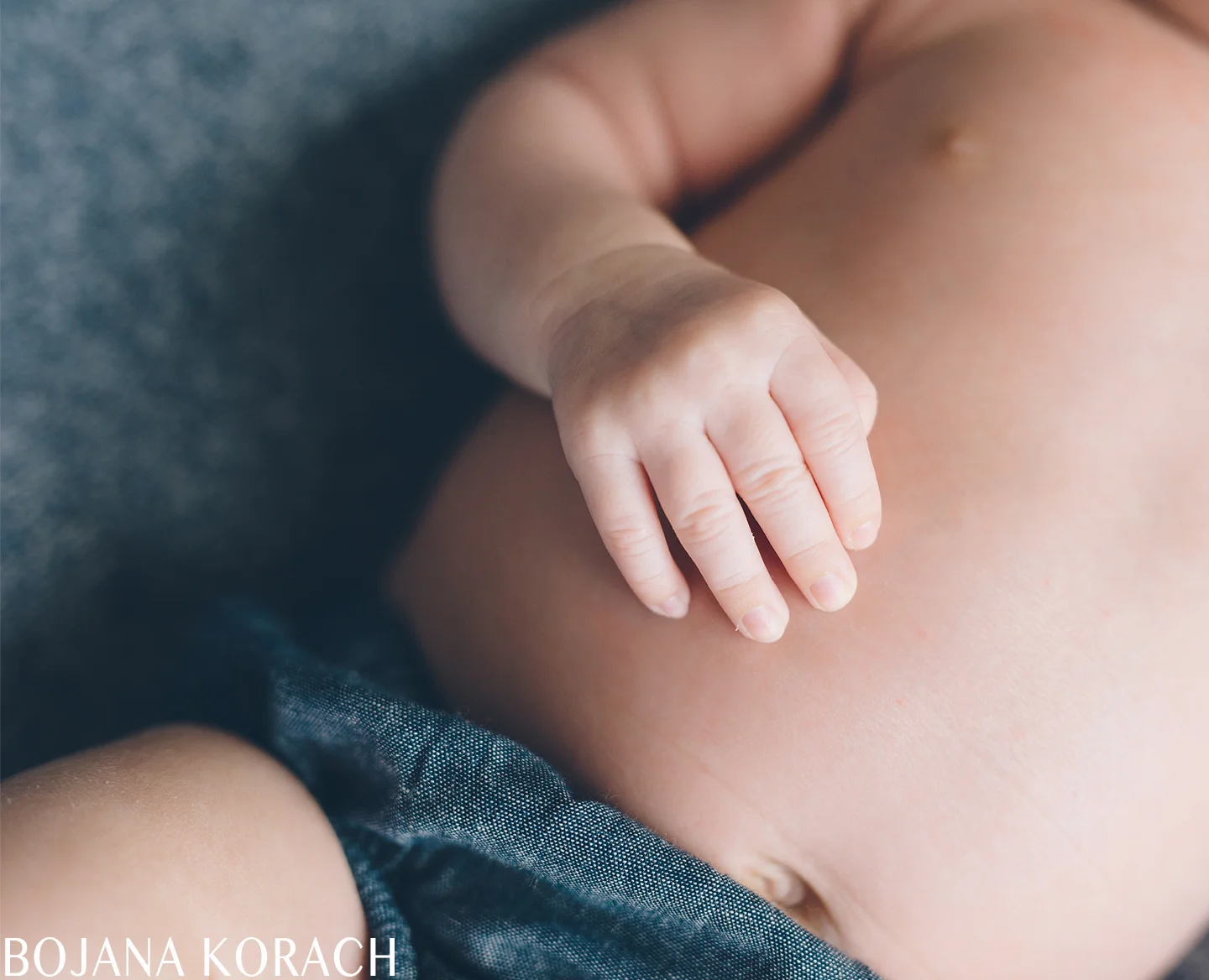 Danville Newborn Photo Session. San Francisco Bay Area Photographer