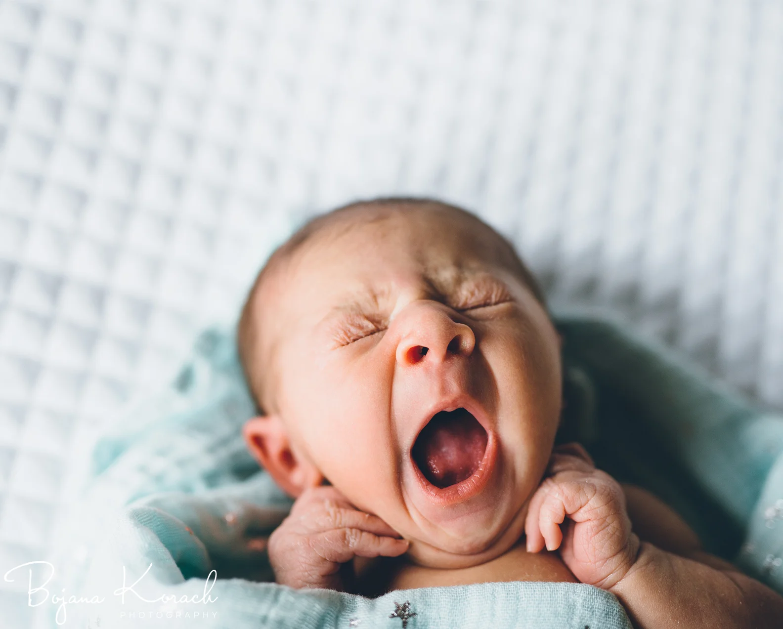 Baby Eva's In Home Newborn Session