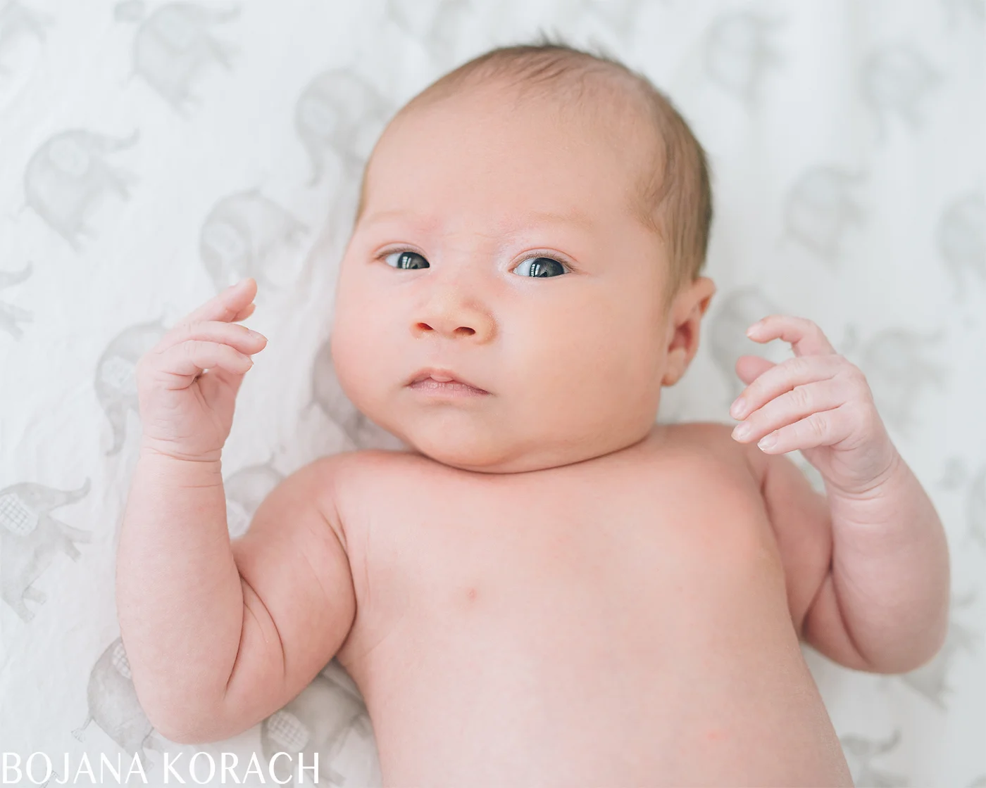 newborn-baby-photography-2
