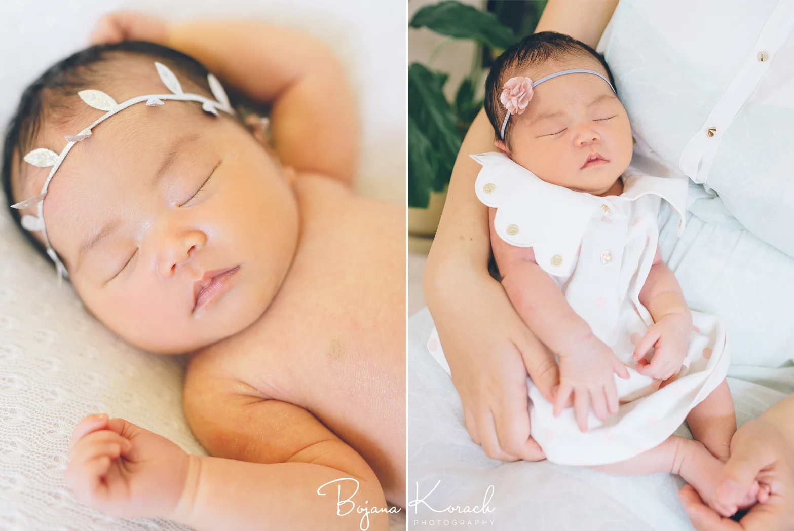 newborn photo session in chicago