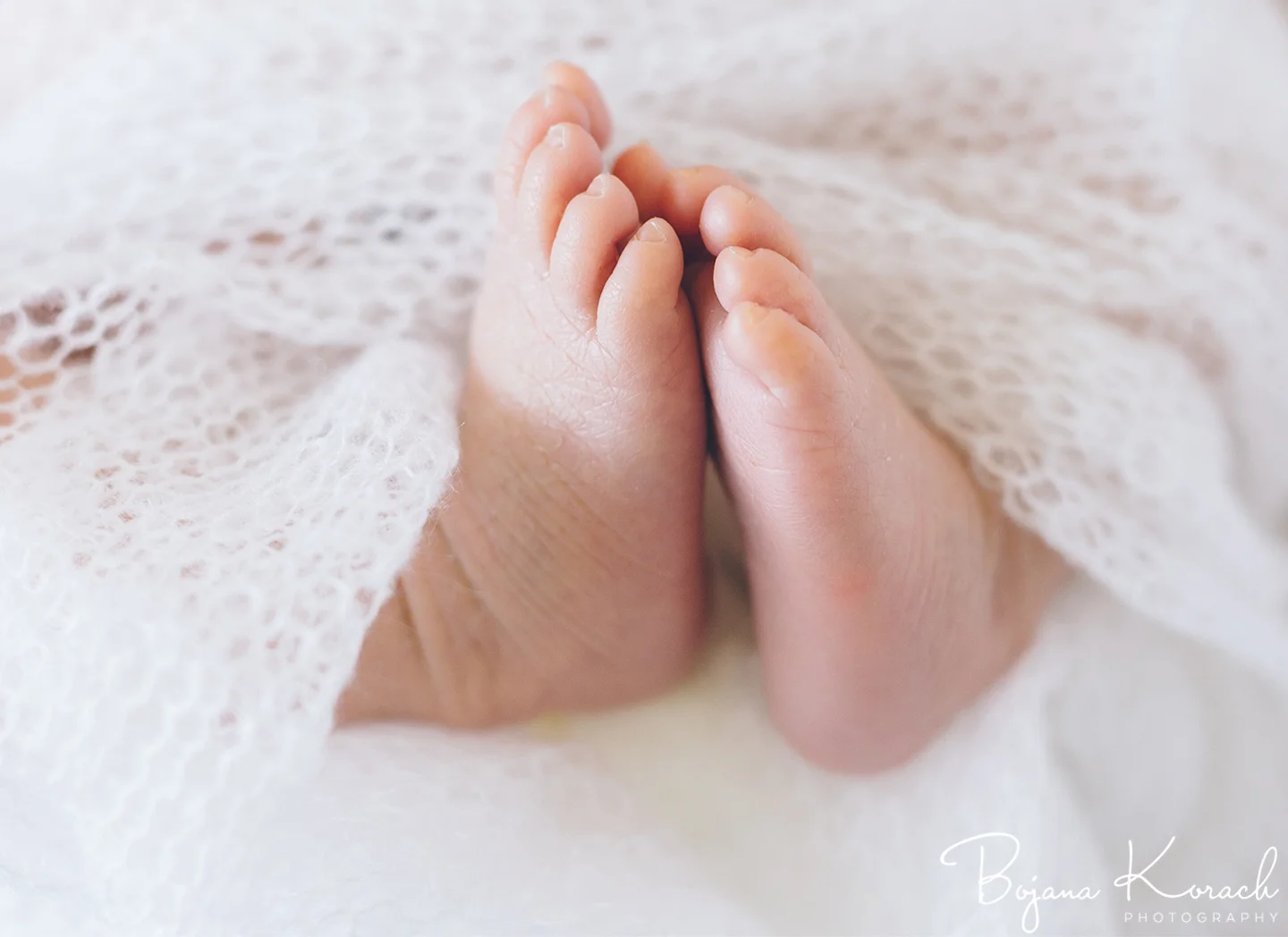chicago newborn photo of feet