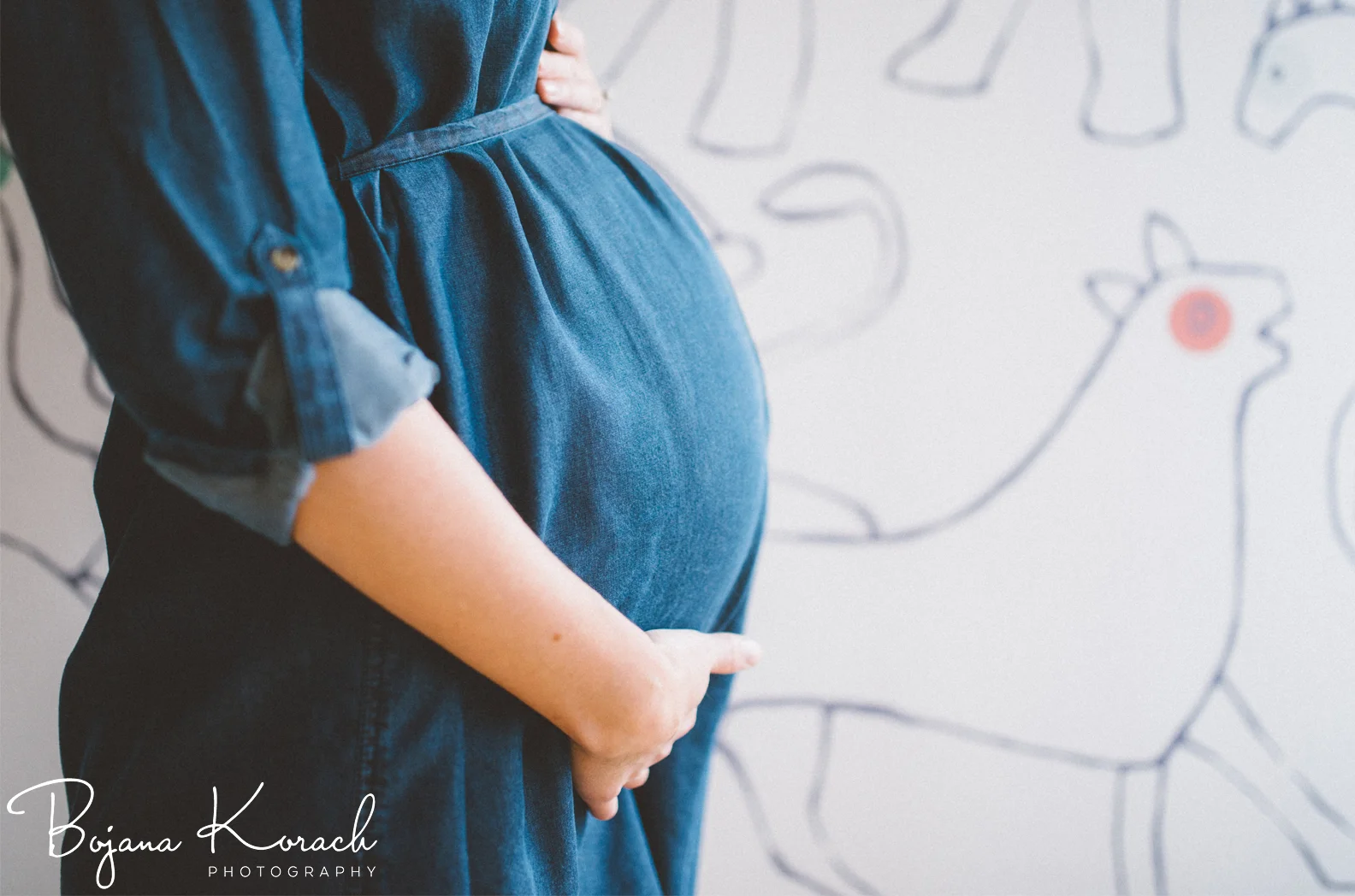 river-forest-chicago-maternity