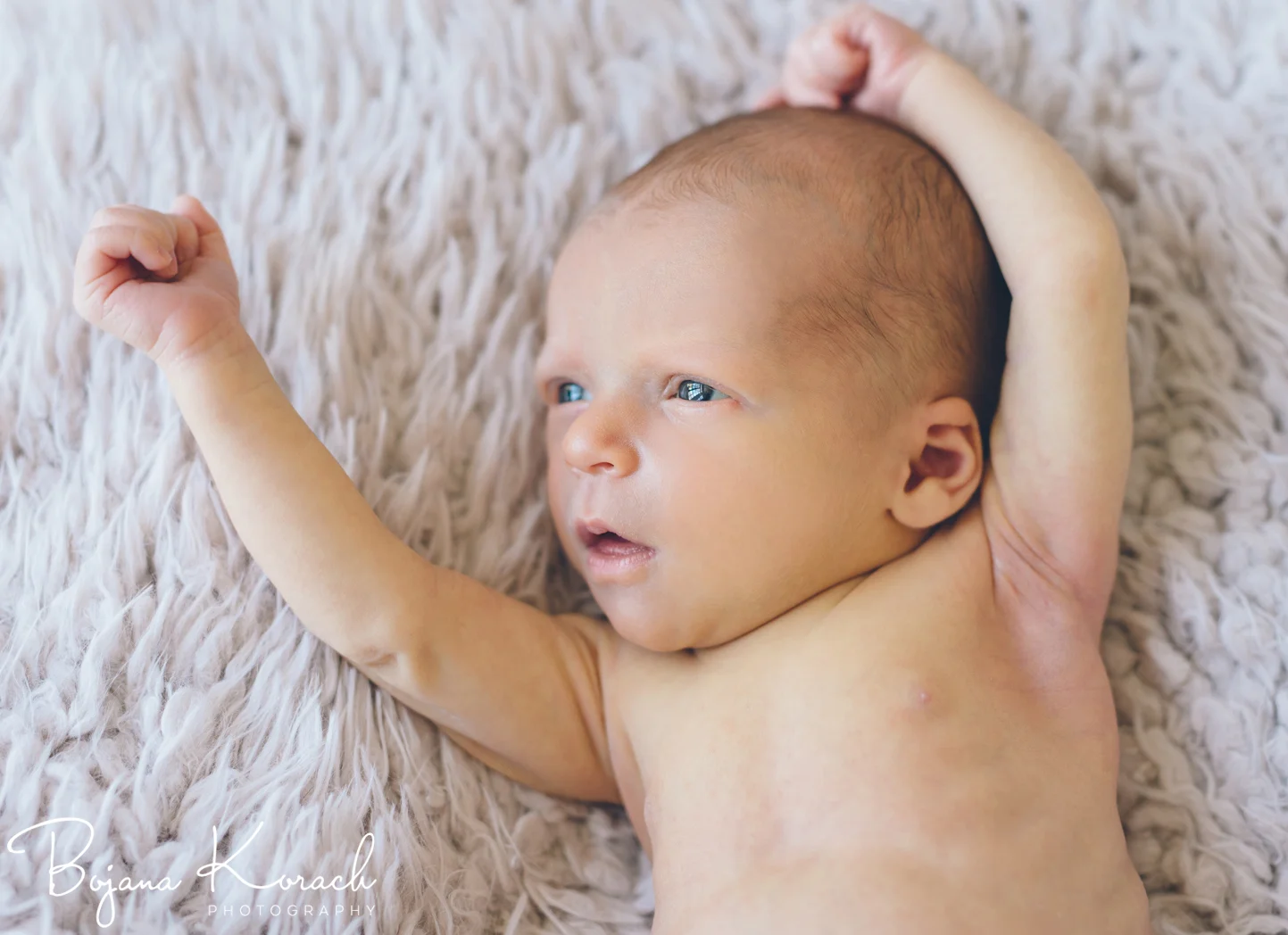 Ellie's AtHome Newborn Session Bojana Korach Photography San Francisco Newborn Photographer