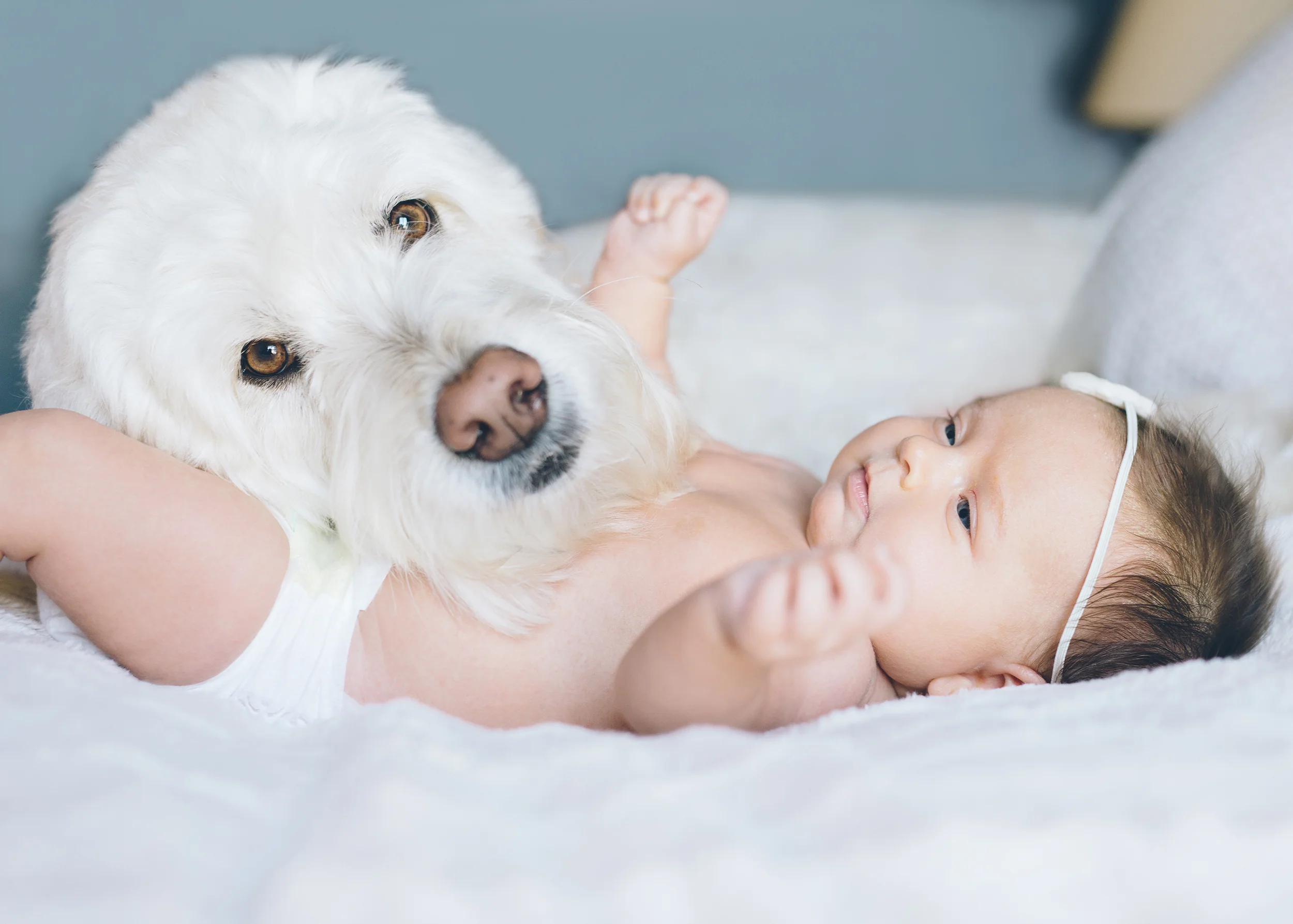 san-francisco-newborn-photographer-2.jpg