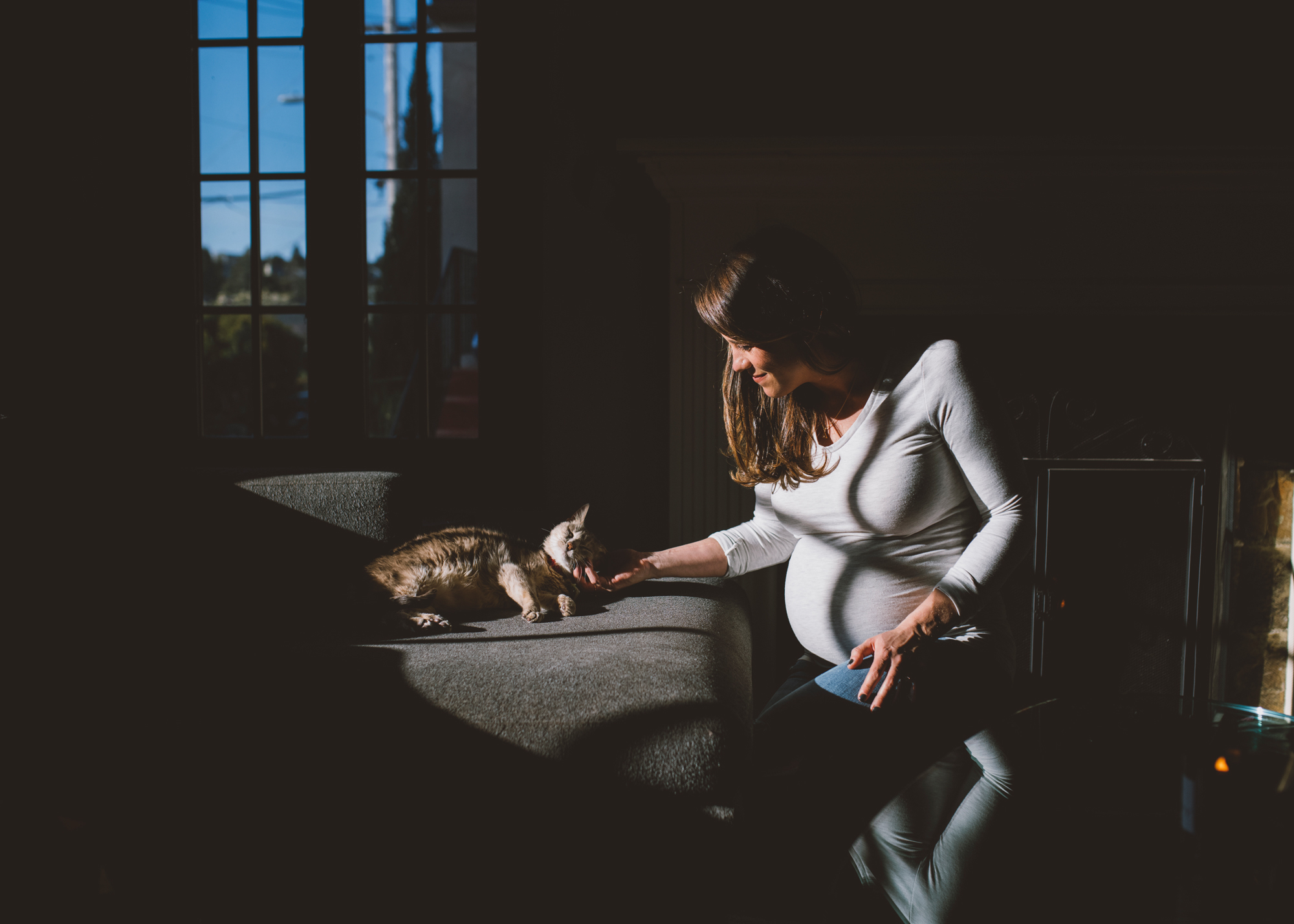 shadow-and-light-maternity-photo-with-a-cat.jpg