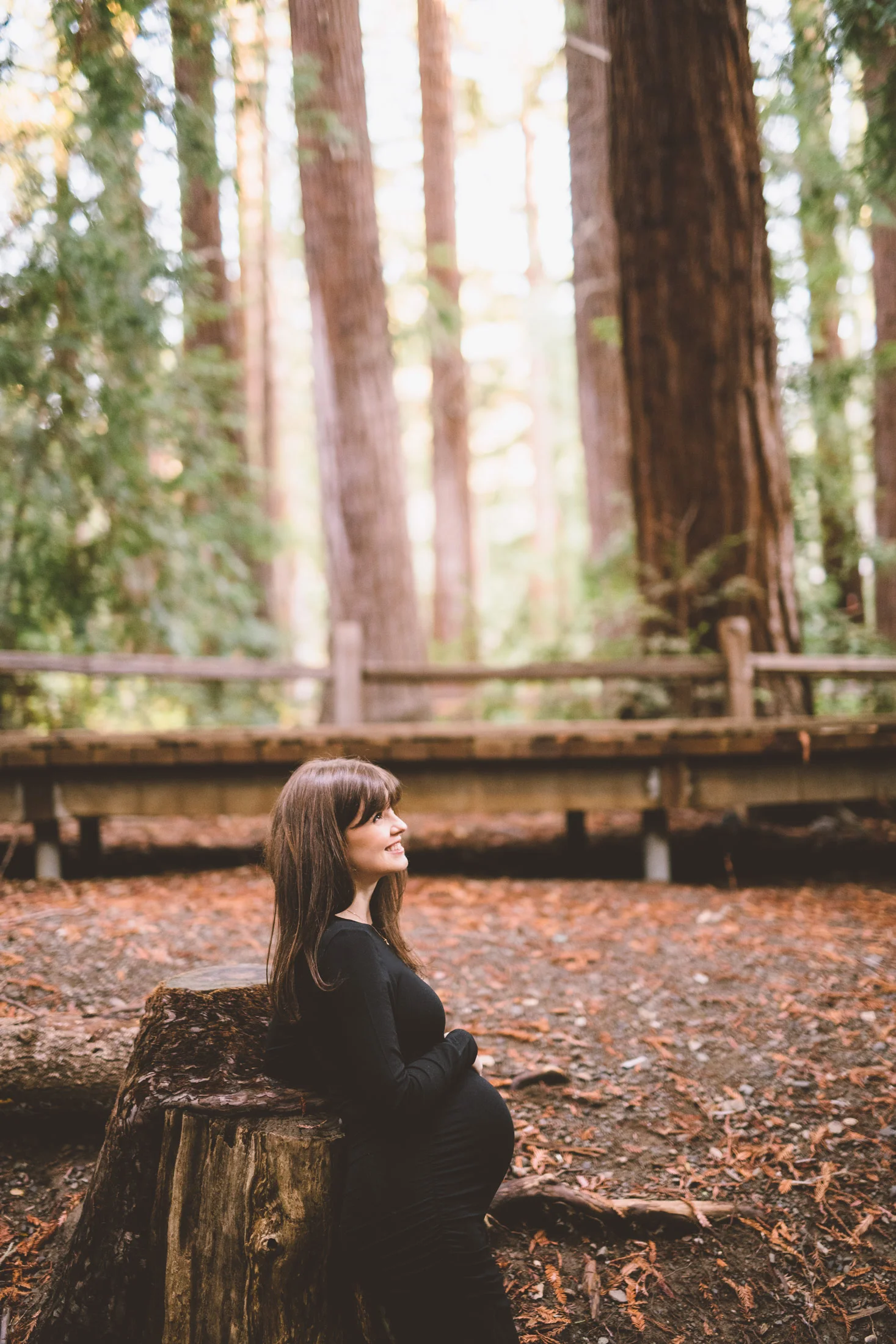 maternity-photo-in-the-redwood-forest-of-palo-alto.jpg