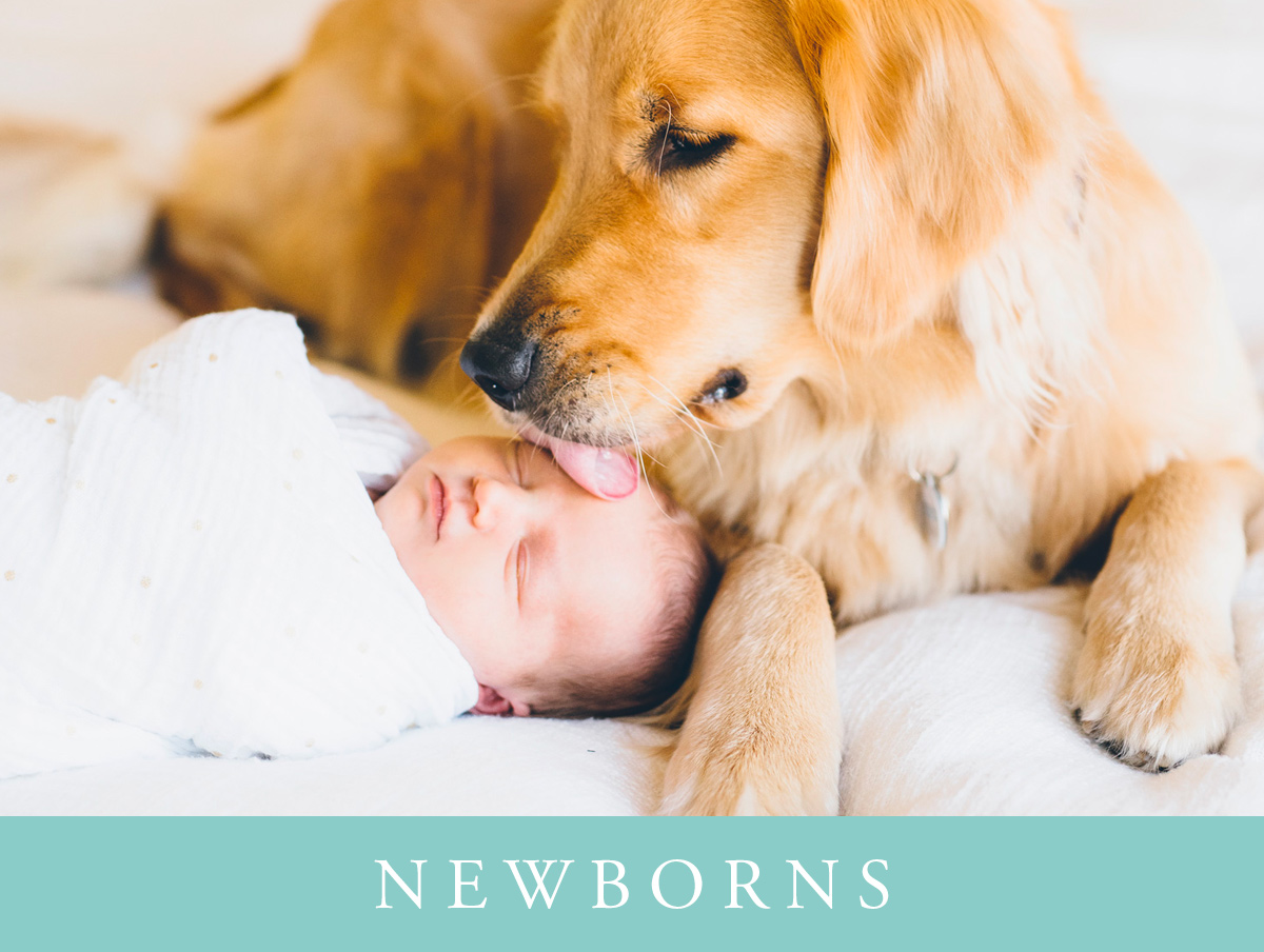 Newborns.jpg