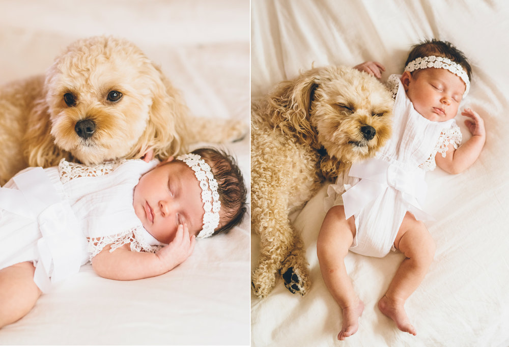 newborn photoshoot ideas with pets