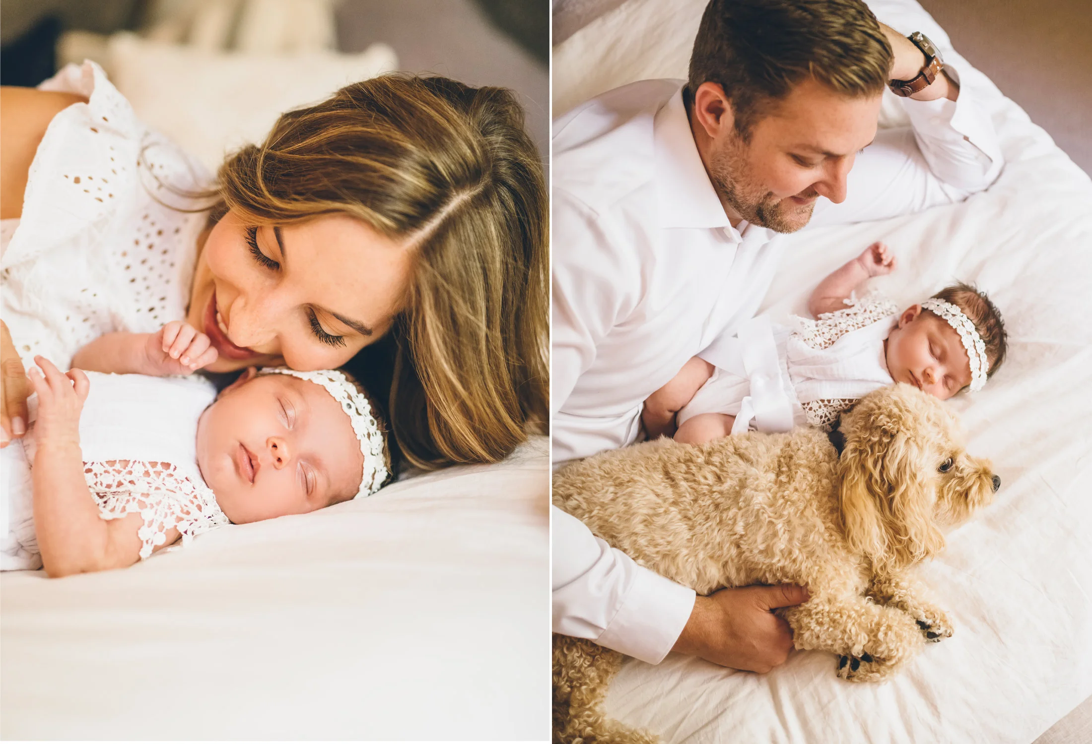 cavapoo-lifestyle-newborn-session.jpg