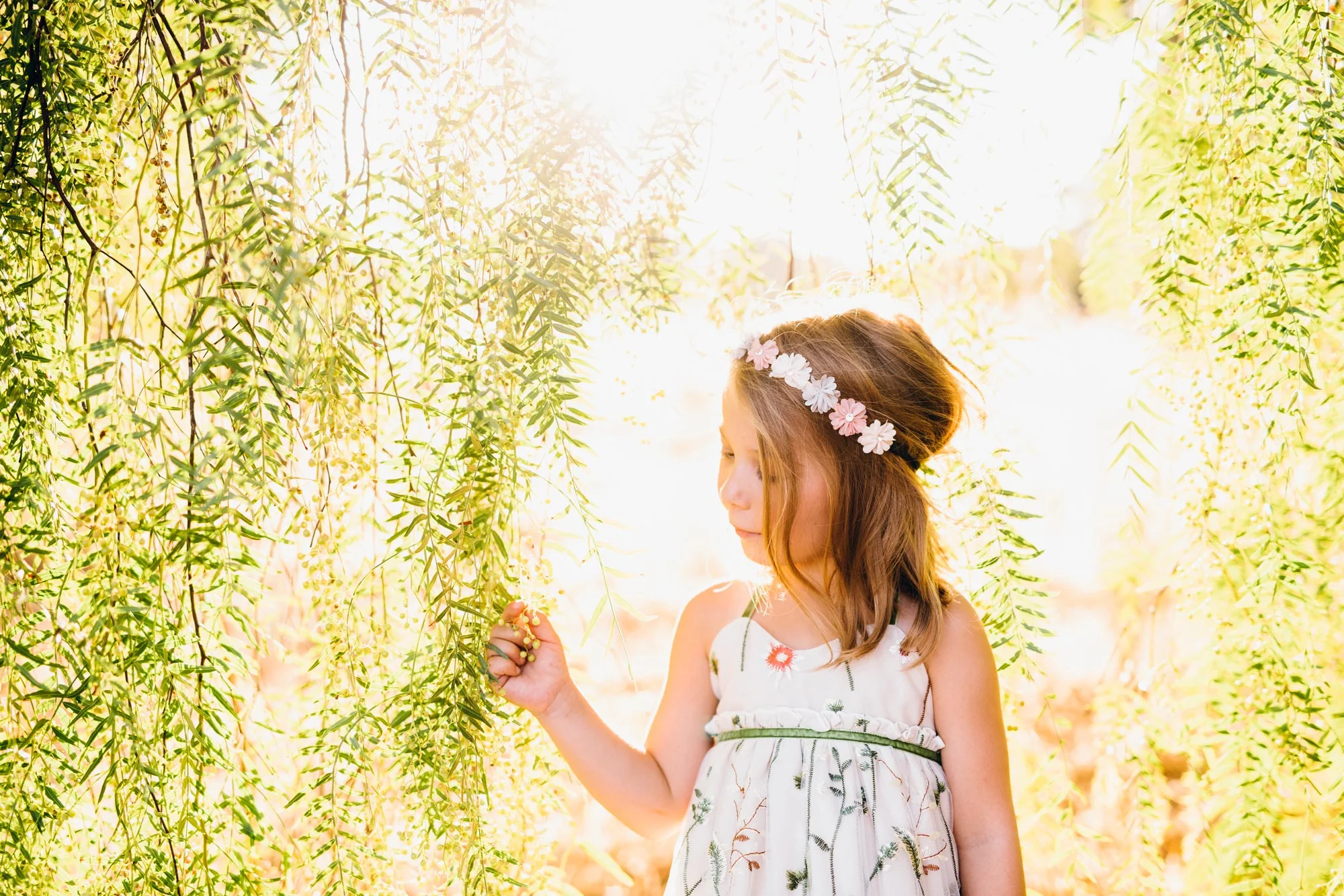 willow-tree-girl-portrait-walnut-creek.jpg