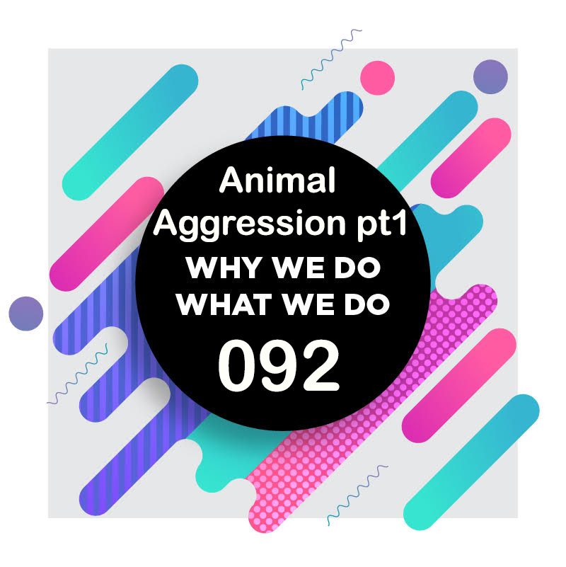 092 | Animal Aggression Part 1 With Hannah Branigan &amp; Ryan Cartlidge | Why We Do What We Do