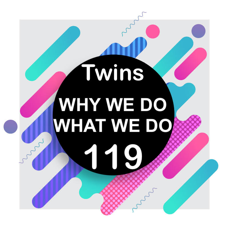 119 | Twin Studies | Why We Do What We Do