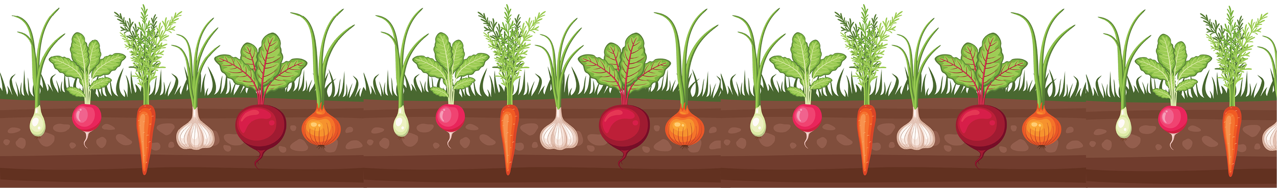 Farm to ECE footer.png