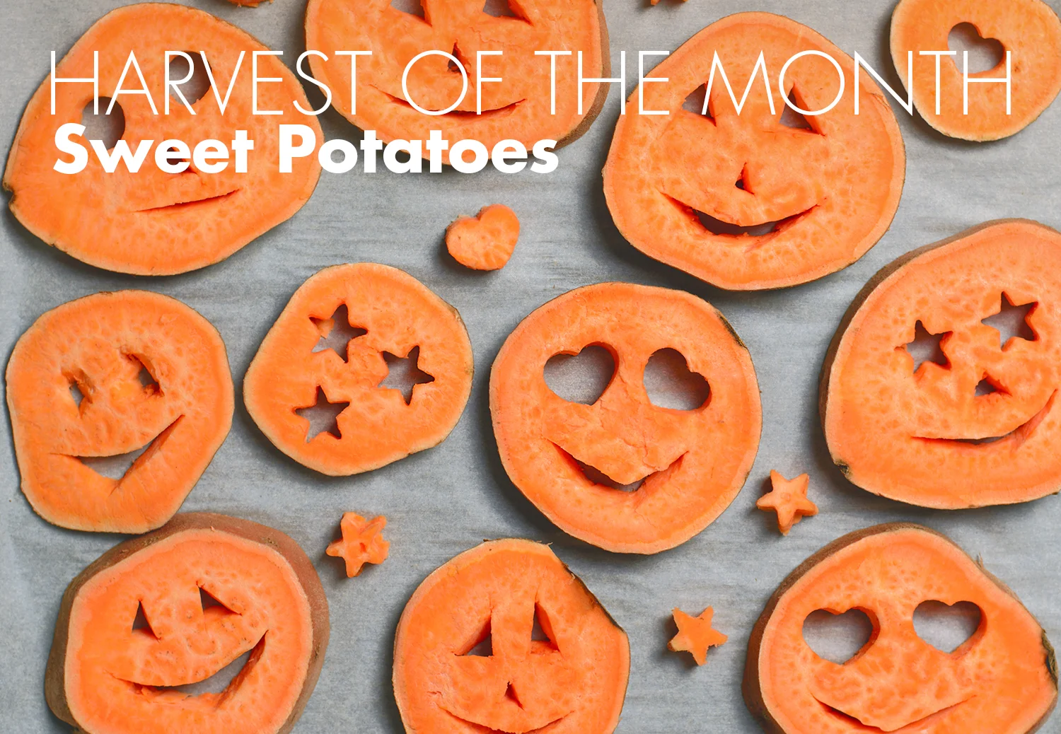 girl_with_sweetpotatoes.jpg