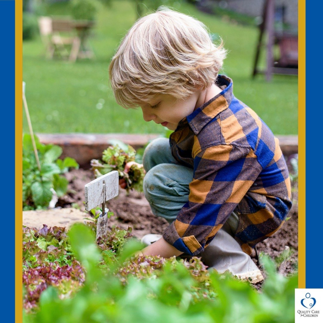 April is National Gardening Month. Growing food helps children develop fine motor skills, provides sensory input, and supports their emotional well-being. Children are also more likely to try a veggie or fruit they helped grow! Check out our #Harvest
