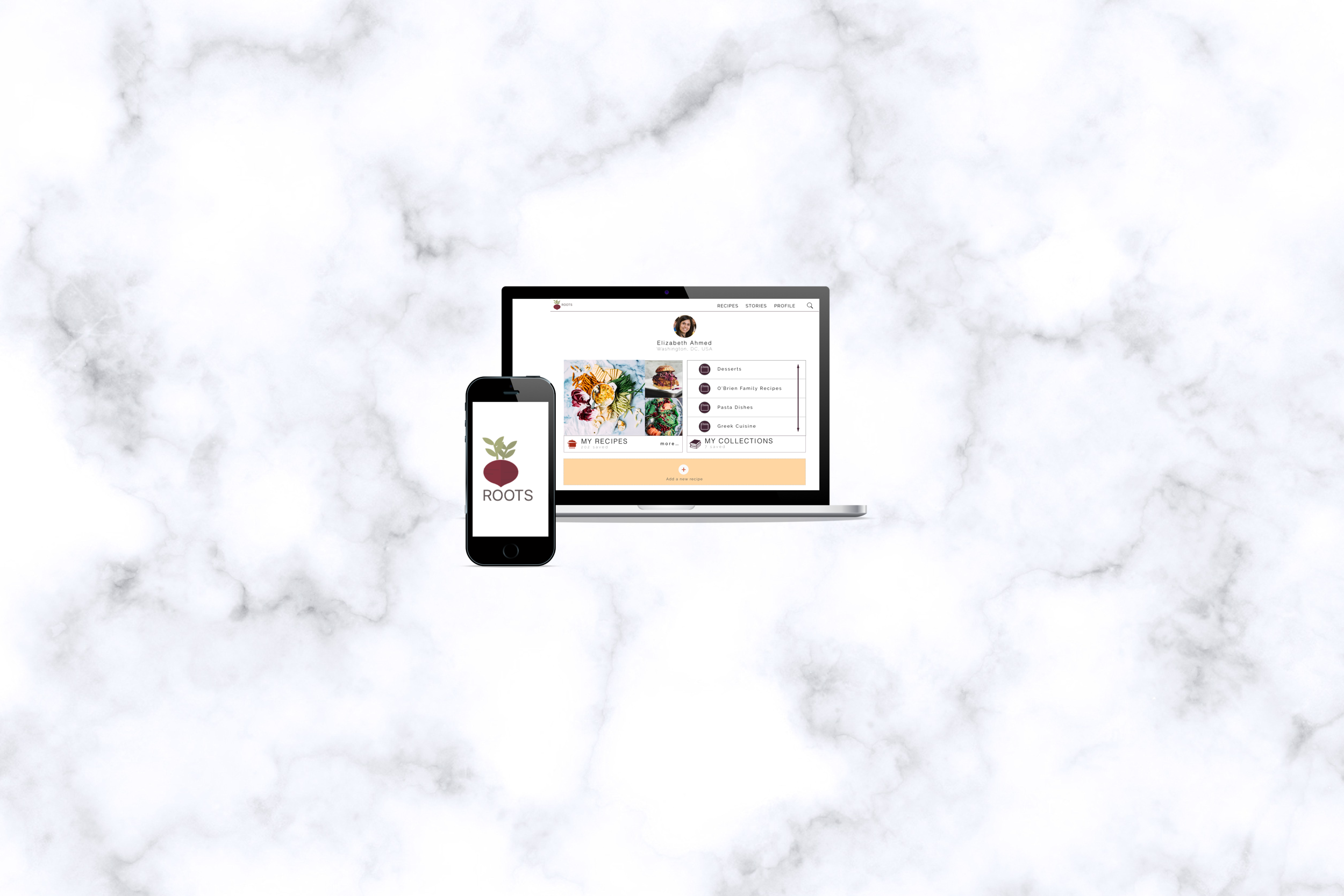 Roots Index Image.png