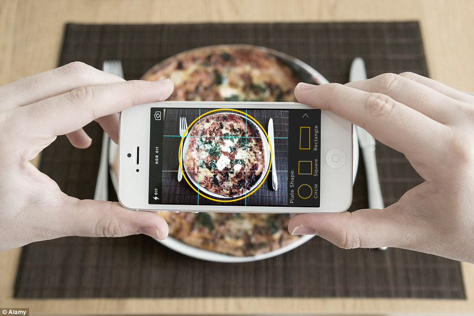 Roots Mobile Food Photo Guide.png