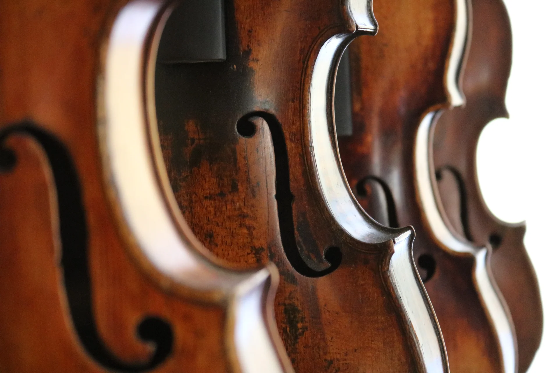 Celebrating our first year in business!