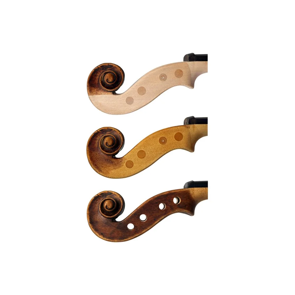 A Violin Volute Graft