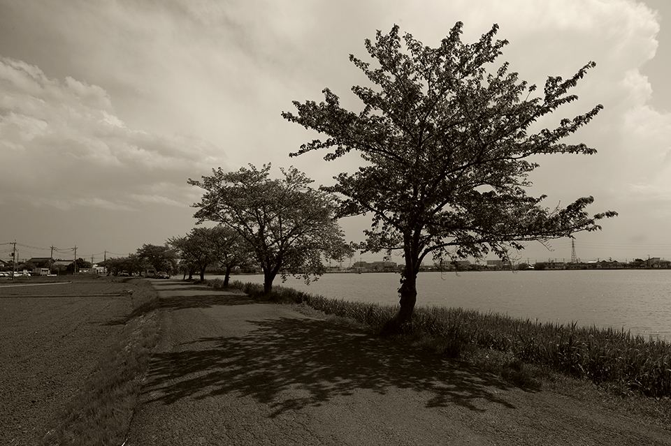 LEICA M9-P / SUPER-ELMAR-M 21mm f3.4 ASPH.