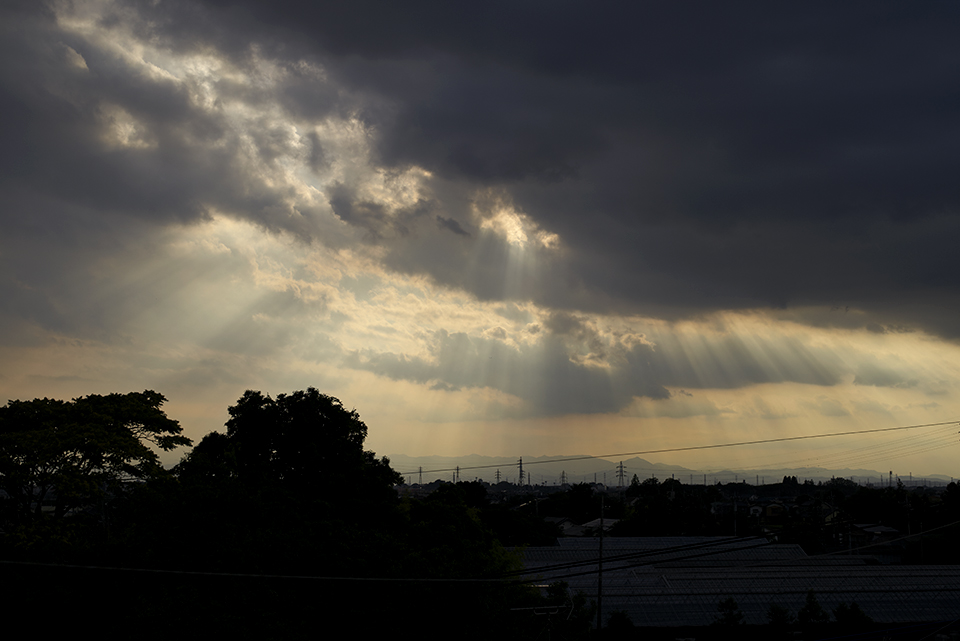LEICA M-P / SUMMILUX-M 50mm f1.4 ASPH. Black Chrome