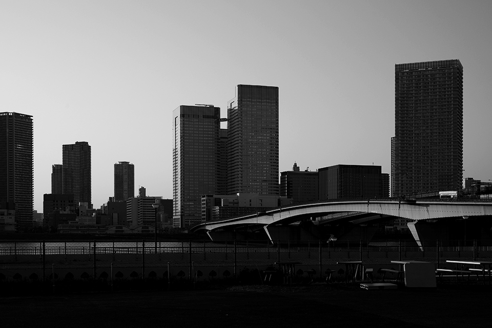 LEICA M-P / SUMMILUX-M 50mm f1.4 ASPH. Black Chrome