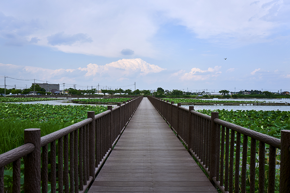 LEICA Q