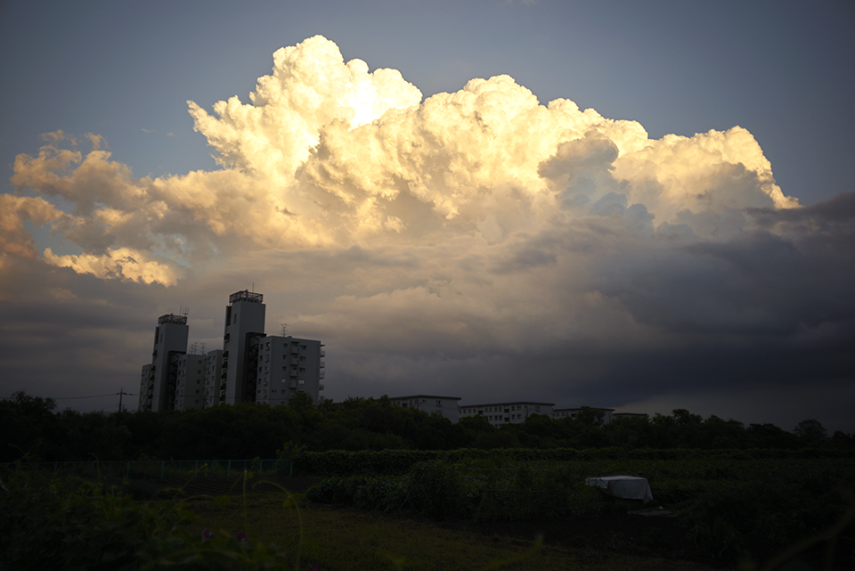 LEICA M-P / ELMARIT-M 28mm f2.8 1st