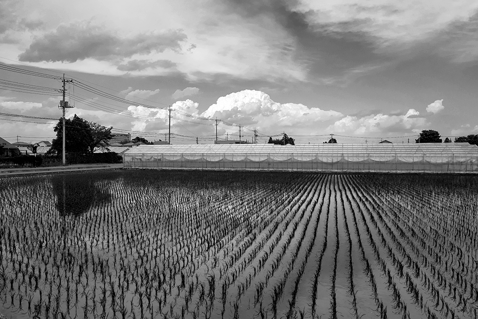 LEICA Q