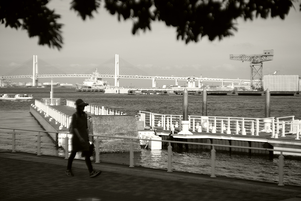 LEICA M9-P / Hektor 73mm f1.9