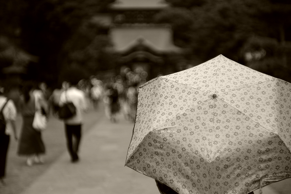 LEICA M9-P / Hektor 73mm f1.9