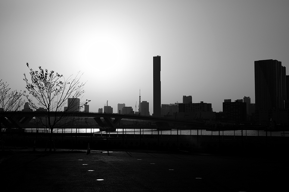 LEICA M-P / SUMMILUX-M 50mm f1.4 ASPH.