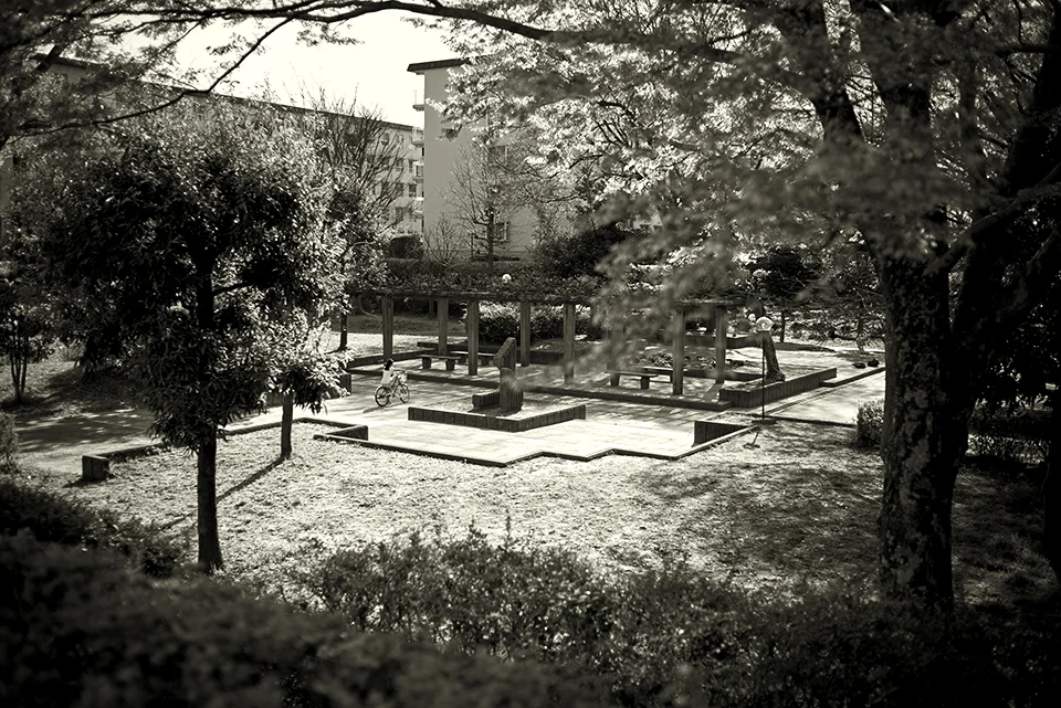 LEICA M-P / SUMMICRON-M 35mm f2.0 ASPH.