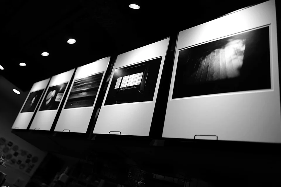 Top two photos LEICA M10-P / Hektor 73mm f1.9 Lower two photos LEICA Q-P