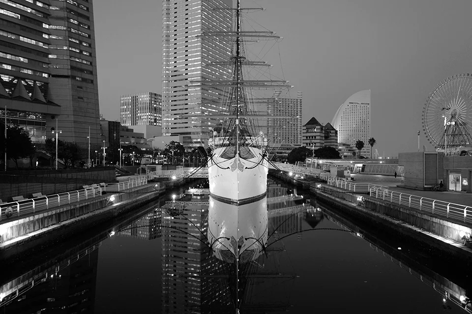 LEICA Q