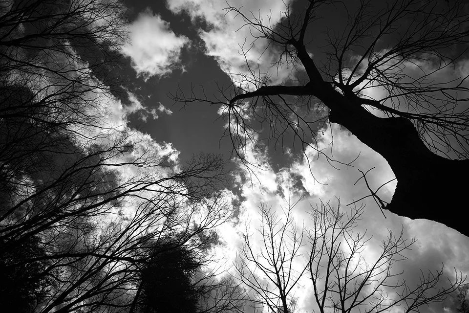 LEICA M10-P / Super-Angulon 21mm f3.4