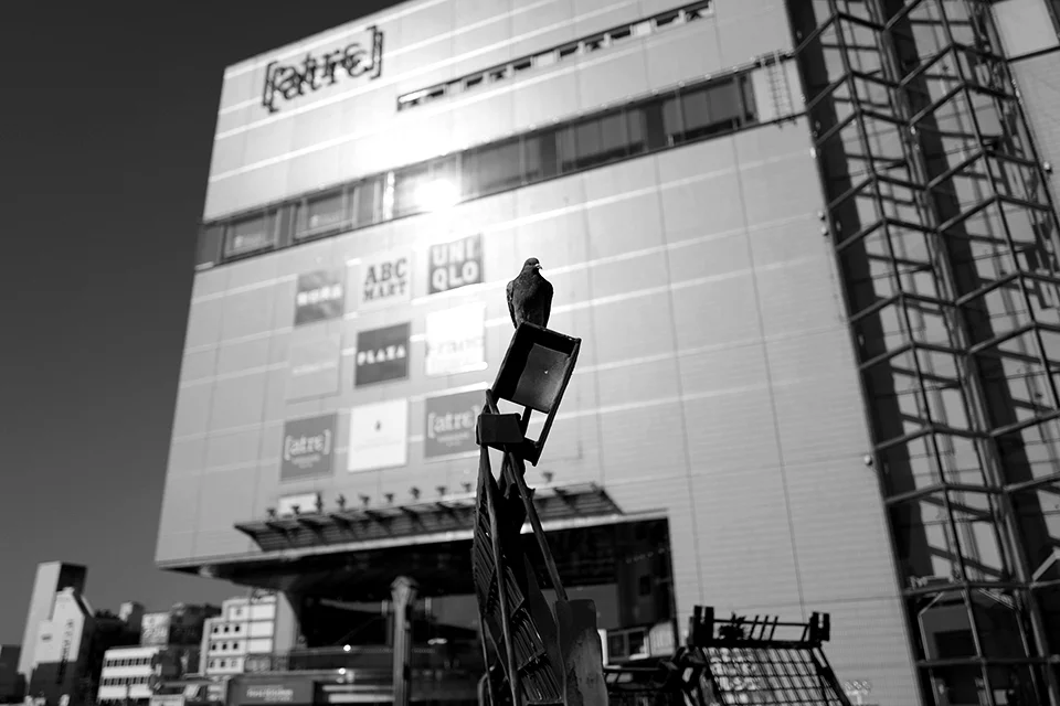 LEICA Q-P