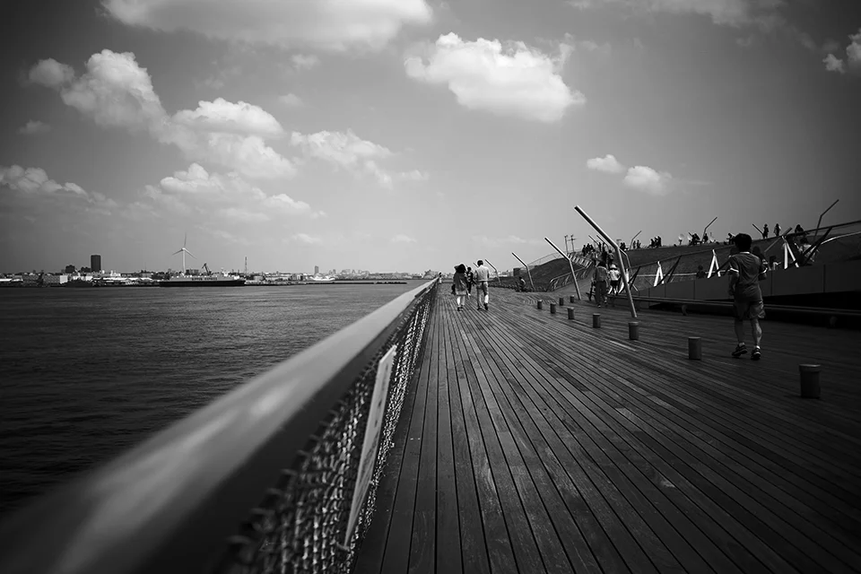 LEICA M10-P / SUMMARON-M 28mm f5.6