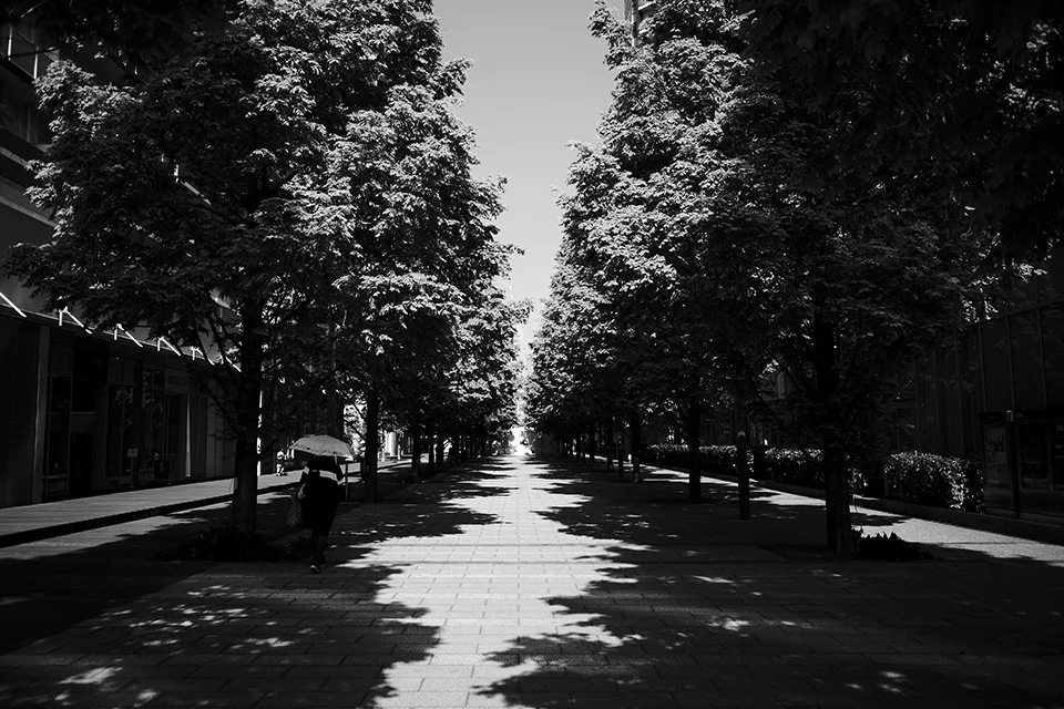 LEICA M10-P / SUMMARON-M 28mm f5.6