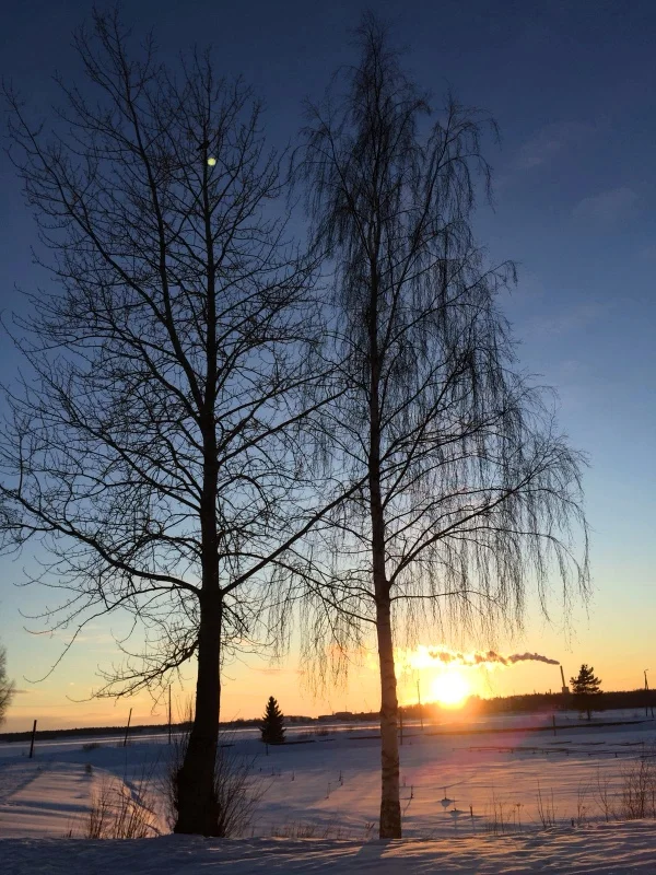 Hur ålderdomstecken är väl inte det att de enda bilderna jag har på min telefon är vackra naturbilder. Sorry not sorry!